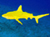 Avatar von yellowshark